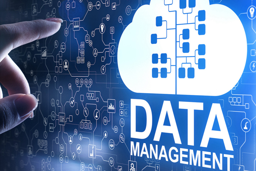 Data Management & Governance